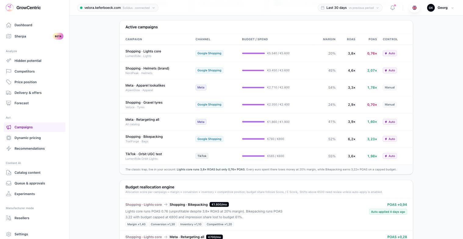 Automatische Anzeigen & Budget Dashboard